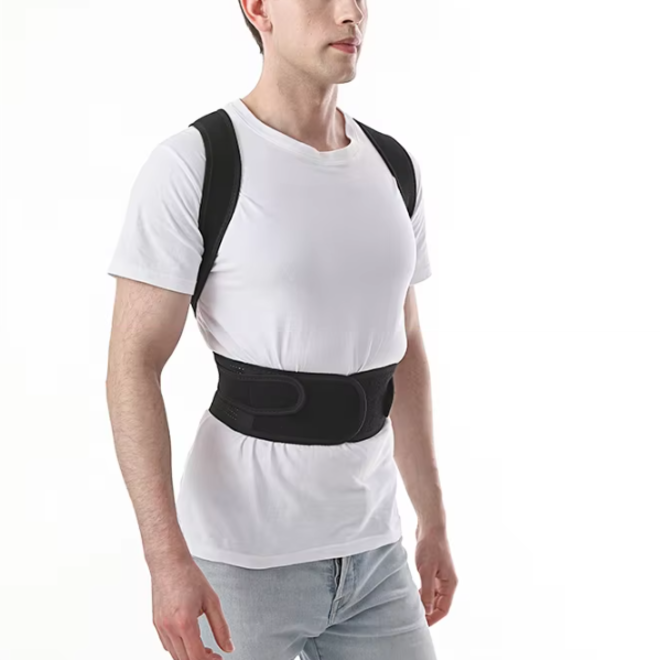 Adjustable Adult Waist Trainer Belt with Back Support