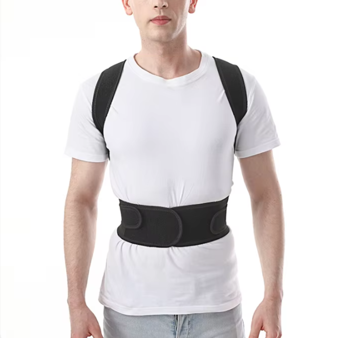 Adjustable Adult Waist Trainer Belt with Back Support